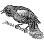 Vector clip art of blackbird on a tree branch