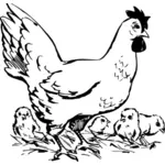 Gambar dari keluarga chick vektor