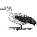 Outline vector illustration of albatross