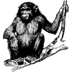 Ape sitting