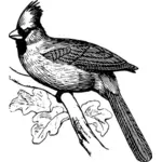 Изображение долго пернатых птиц в черно-белом