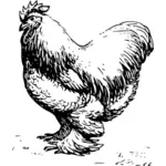 Cochin kylling vector illustrasjon