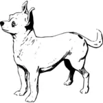 Chihuahua vektorový obrázek