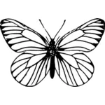 Imagem de vetor linha arte borboleta