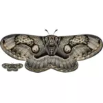 Black and white moth vector image