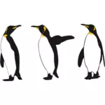 Trei regele pinguini