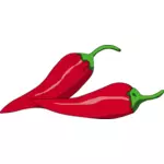 Vector illustration of Mexican chili peppers