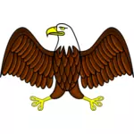 Цвет белоголовый орлан векторное изображение