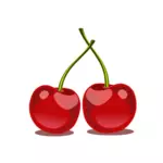 Glossy cherry fruit