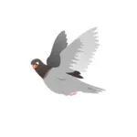 Létající holub vektorový obrázek