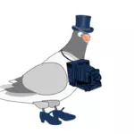 Vector graphics of pigeon with camera