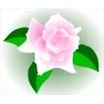 Roze roos in een kader