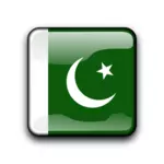 Drapeau de vecteur du Pakistan à l'intérieur de la forme carrée