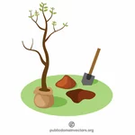 Planter un nouvel arbre