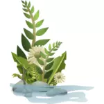 Vector graphics of selection of plants in water