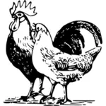 Poultry drawing