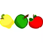 A yellow, green and red apple vector image