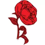 Červená růže s červenými listy