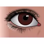 Realistické hnědé oko
