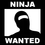 Ninja vrut