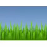 Desenho vetorial de grama verde