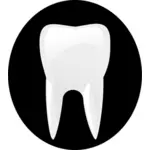 Tooth black an dwhite pictogram vector image