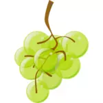 Grafika wektorowa półprzezroczyste zielonych winogron