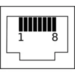 Vektor-Bild von RJ45 Pin connectorRJ45 mit Pin-Nummern