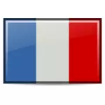 Flaga Francji obrazu