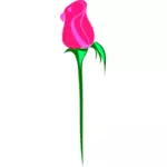 Rose on white background vector image