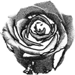 क्लिप आर्ट sprya द्वारा तैयार एक लय गुलाब की