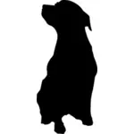 Desenho vetorial de Rottweiler