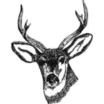 Testa di cervo con corna vettoriale immagine