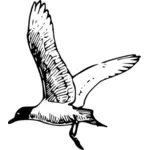 Franklins gull flygande vektorbild