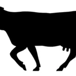 الماشية إلى الأمام علامة الطريق رمز رمز صورة المتجه