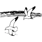 La gaviota argéntea en vuelo vector illustration