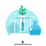 التجارب العلمية على النباتات