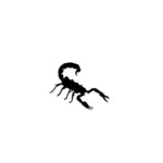 Scorpion image