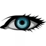 Blue female eye vector drawing