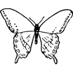 Butterfly sketch image