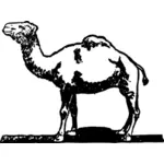 Free hand drawing of a camel