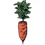 Simple carrot