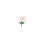 בתמונה וקטורית ורד יחיד