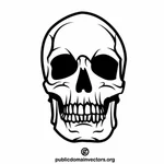 Human skull vector clip art