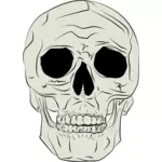 Ilustracja wektorowa prawdziwe ludzkie czaszki