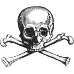 Skull with bones