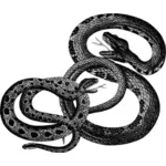 Vintage snakes