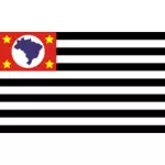בנדרה דה סאו פאולו הדגל בתמונה וקטורית