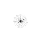 Araña y web
