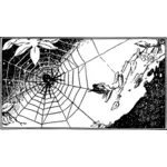 Spinne und Web-Bild